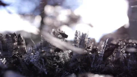 Stunning Needle Ice in Slow Motion Gust of Air Stock Footage 221734828