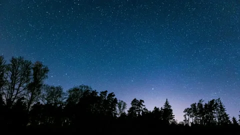 Stunning night sky 4k timelapse with stars over forest. Stock Footage 154083396