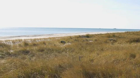 Stunning Ocean Skyline Video stock 75178012