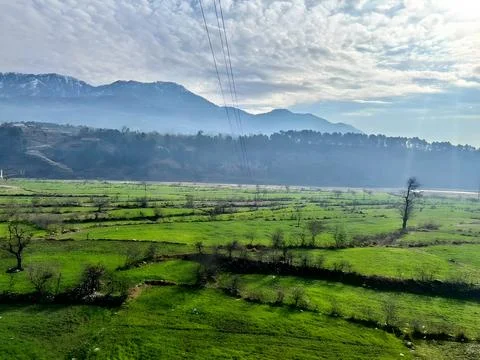 Stunning panoramic view captures vibrant green terraced agricultural fields Stock Photos