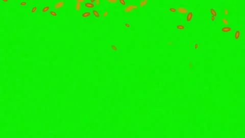 Stunning petals with floating, falling motion isolated on chroma key green Stock Footage 337047585