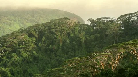 Stunning Pohnpei Dusk Stock Footage