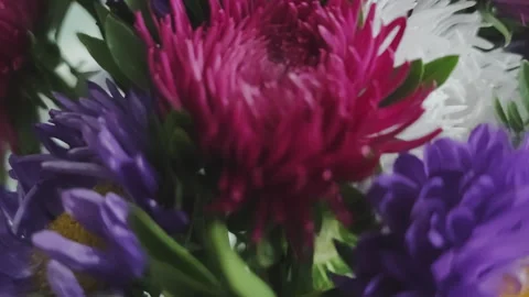 Stunning probe lens shot moving through the stems of a beautiful floral 스톡 동영상 343561697