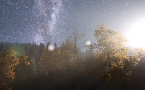 Stunning rays of full glowing moon making everything bright in night Video stock 170299922