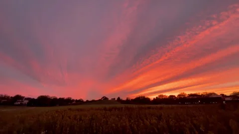 The stunning red sunset sky over a vast open field, creating a warm and serene Stock-Footage 304019783