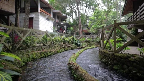 Stunning Riverflow at Bato Spring, Laguna, Philippines 動画素材 236142318
