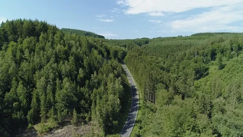 Stunning road through dense forest in German Countryside drone aerial 4k Stock Footage 114152110