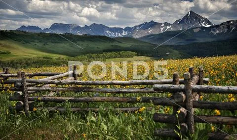 Stunning Rocky Mountain Vista with Wildflowers and Meadow Stock Photos