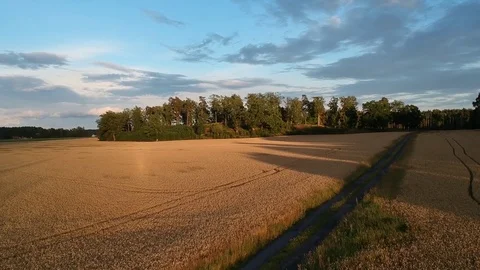 Stunning runrise Stock Footage 114982836