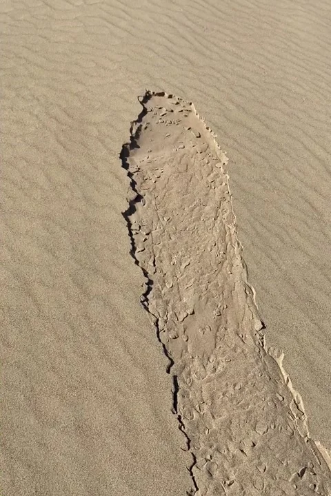 Stunning sand and dune falling like domino Stock Footage 251663718