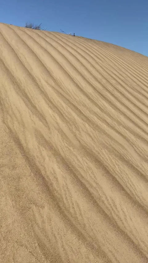 Stunning sand on a dune Stock Footage 251915404