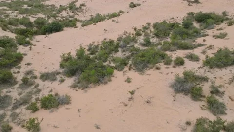 Stunning Sand Dune Panorama Stock Footage 239168870