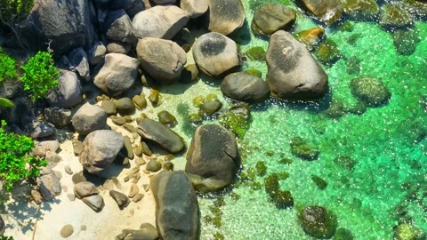 Stunning sandy beach with rock, clean sea water and green forest. 4K. Vidéo 265985865
