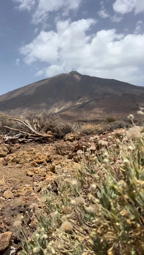 A Stunning Scenic Landscape Featuring a Volcanic Mountain in a Beautiful Arid Stock Footage 318721053