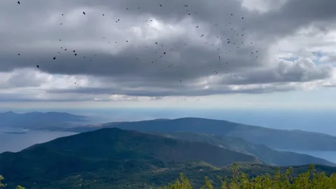 Stunning Scenic Mountain Landscape featuring Graceful Birds elegantly in Flight Stock Footage 320324672