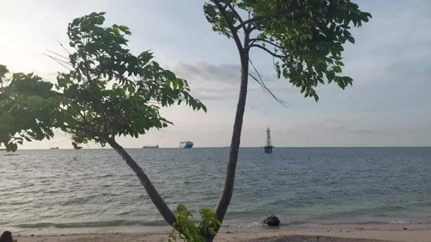 Stunning sea views from the beach Stock Footage 220116626