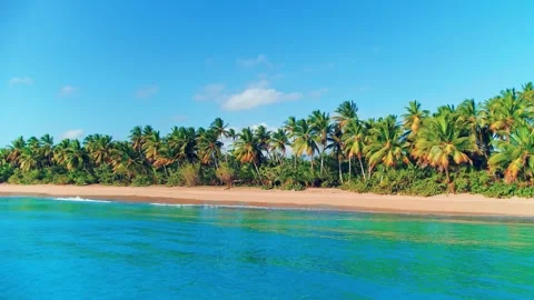 A stunning shot of a calm ocean surface and an idyllic sandy beach. Stock Footage 278024622