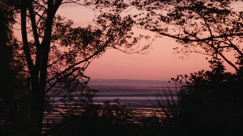 Stunning sky at sunset or dusk with sea in the background. Trees silhouetted 스톡 동영상 129689869