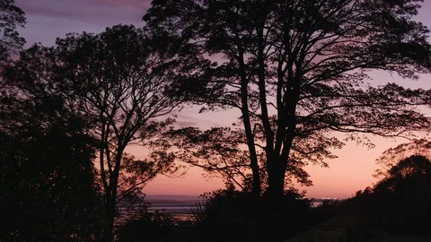 Stunning sky at sunset or dusk with trees silhouetted against pink, red and Video stock 129692516