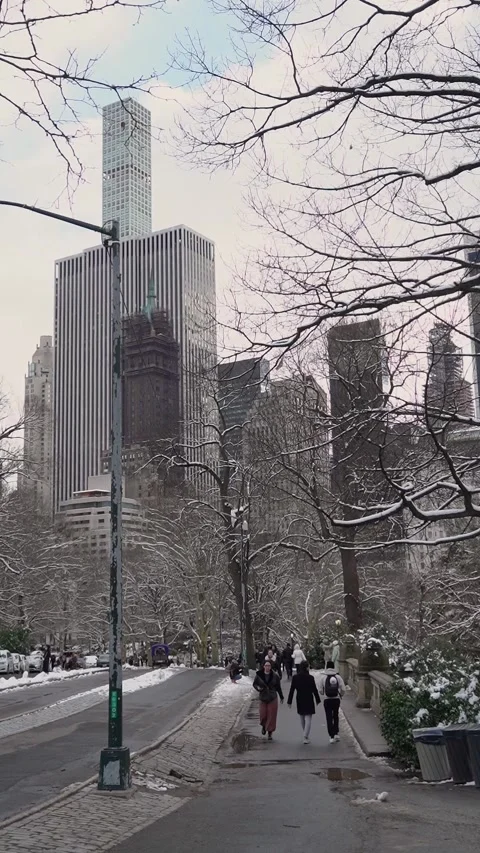 Stunning Skyline View of Central Park in Winter, showcasing frosty trees Vídeo Stock 291627481