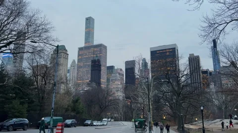 Stunning Skyline View of Central Park in Winter, showcasing frosty trees Stockbeeldmateriaal 291635567