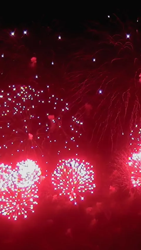 Stunning slow motion close-up of vibrant fireworks bursting in the night sky Stock Footage 282434778