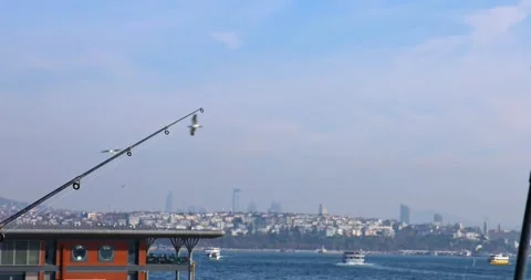 A stunning slow-motion video capturing seagulls flying gracefully over Istanbul Stock Footage 296272973