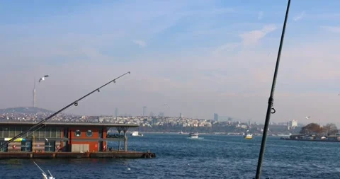 A stunning slow motion video capturing seagulls flying gracefully over Istanbul Stock Footage 296278156