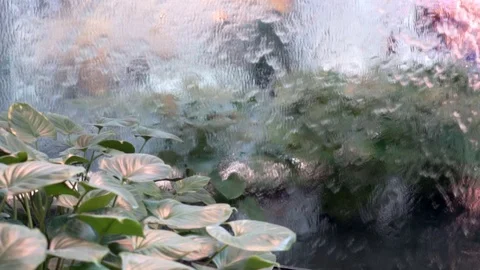 Stunning slow motion of water cascade in a pond with green leaves Stock Footage 109384829