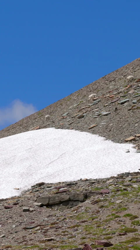 A stunning snow patch rests meticulously on a mountain slope under a beautiful Vídeo Stock 315616545