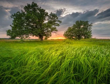 Stunning summer landscape Stock Photos