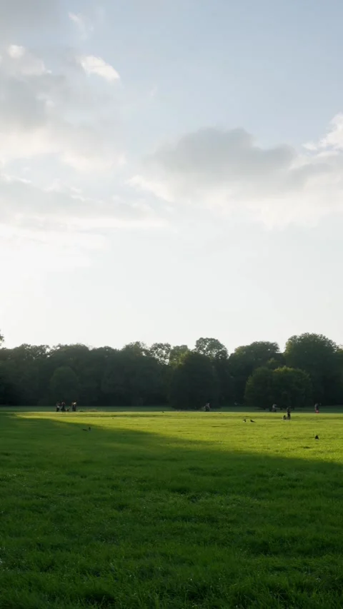 A stunning sunset is casting beautiful rays of light across a vibrant green Stock Footage 320138438