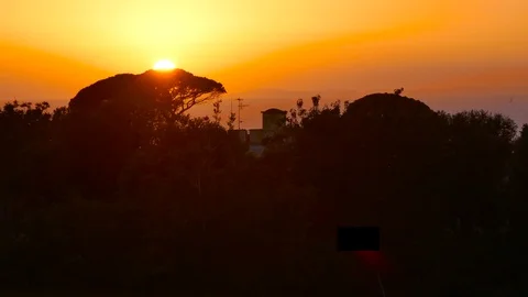 Stunning sunset with changing color sky behind a tree with sea in background Stock Footage 112347531