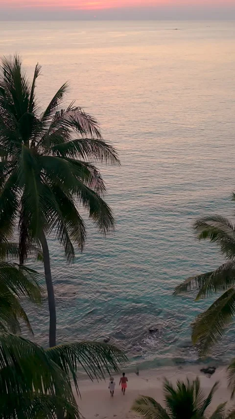 Stunning sunset on Koh Kood beach with palm trees swaying in tropical paradise Vídeos de archivo 337359017