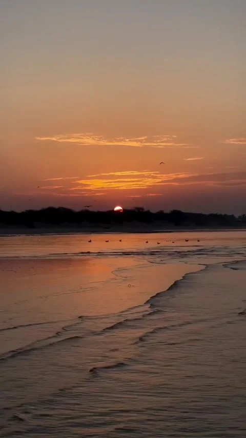 Stunning sunset over a calm beach with silhouetted birds Vídeos de archivo 334084307