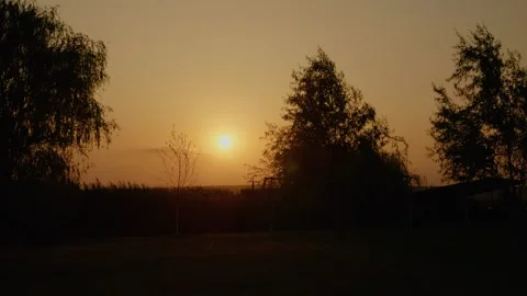 Stunning sunset over trees and lush vegetation in serene nature setting Stock Footage 324611423