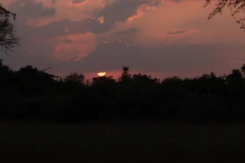 Stunning sunset sun setting behind tree Stock Photos