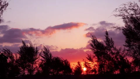 A stunning sunset unfolds behind a line of gently swaying trees. Stock Footage 341455296