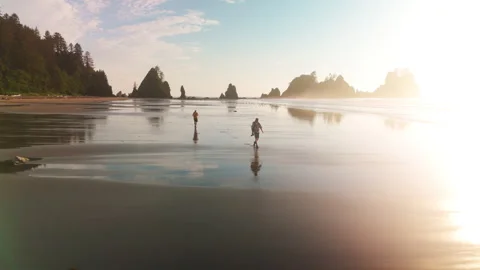 A Stunning Sunset At Washingtons Coastline Video stock 327645455
