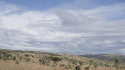 Stunning Time lapse With Fast Moving Clouds Afternoon South African Savanna Stock Footage 277610326