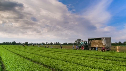 Stunning Time Lapse of Workers on Green Field with Clouds Above Видео 120692539