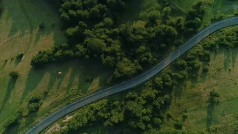 Stunning top-down aerial of sinuous asphalt  Stock Footage 327551797