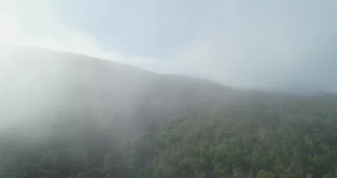 Stunning top down drone shot of a vibrant green field and a deep valley Stock Footage 334731883