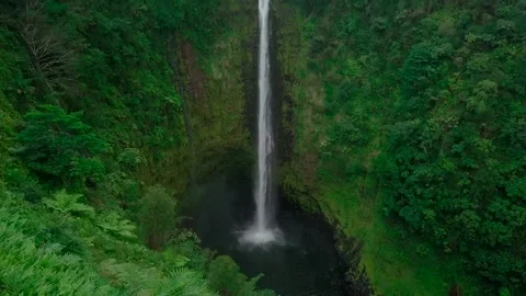 Stunning Tropical Waterfall Surrounded by Lush Greenery Stock Footage 323301965