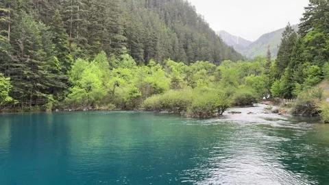 Stunning Turquoise Lake Surrounded by Lush Forest in Jiuzhaigou Valley, Sichuan Stock Footage 337914734
