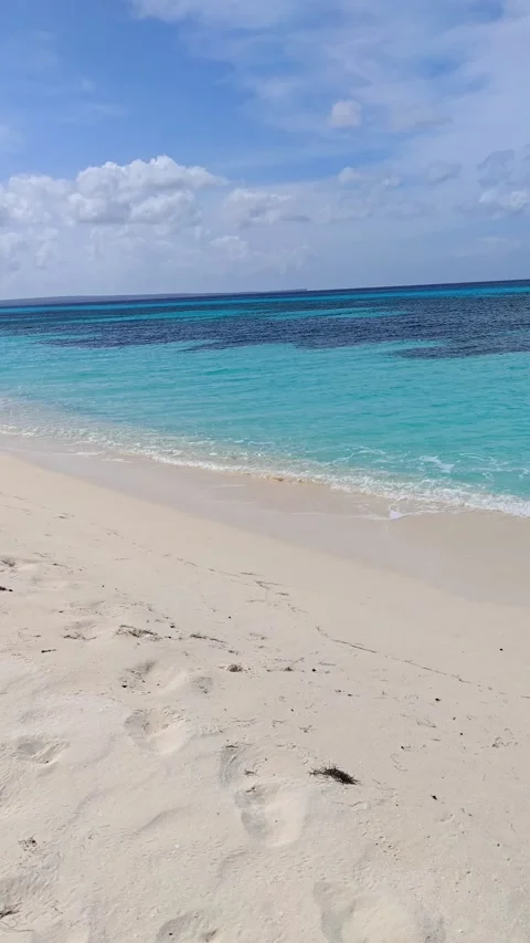 Stunning Turquoise Water and Pristine White Sand Beach in Bahia de las Aguilas Stock-Footage 330976979