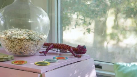 Stunning vase interior designs Vídeo Stock 75172260