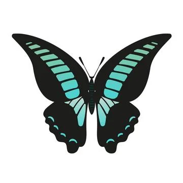 A stunning vector illustration of the Butterfly Graphium sarpedon, blue win.. Stock Illustration