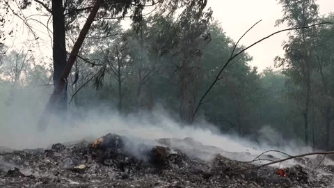 A stunning veld fire in a field in between a suburb and a railway Stock Footage 253807253