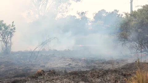 A stunning veld fire in a field in between a suburb and a railway Stock Footage 253807255